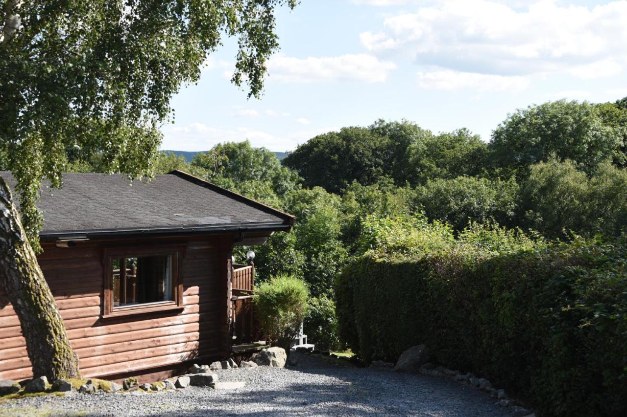 Tawny Owl Lodge เรย์อาเดอร์ ภายนอก รูปภาพ